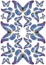Fietsstickers vlinders blauw